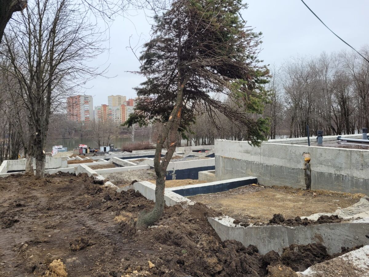 На изыскательские работы в парке «Дружба» в Ростове выделят 30 млн рублей - фото 1