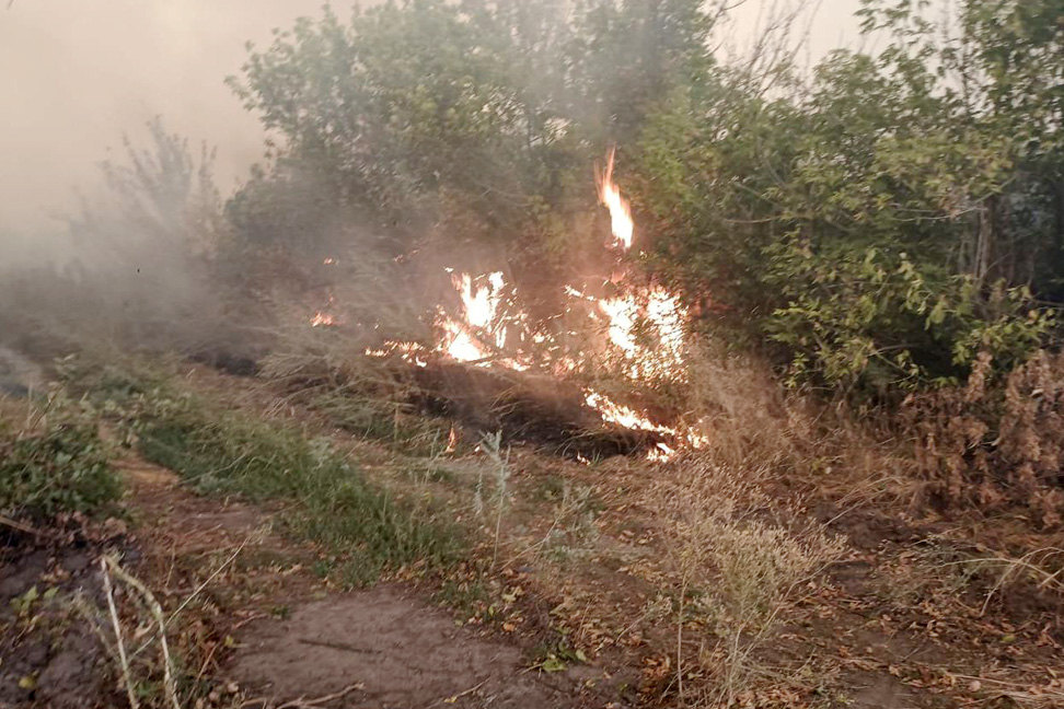 Погорельцы из Кашарского района получат финансовую помощь от властей региона - фото 1