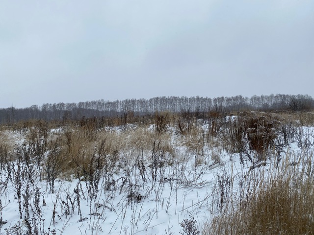 Четыре земельных участка выставлены на торги в Кстовском районе  - фото 1