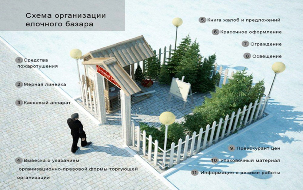 Администрация опубликовала адреса елочных базаров в Воронеже - фото 1