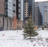 Ход строительства дома № 1 в ЖК Портовый -