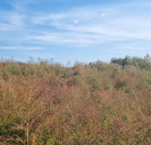 Ход строительства дома 8.1 в ЖК Форест -