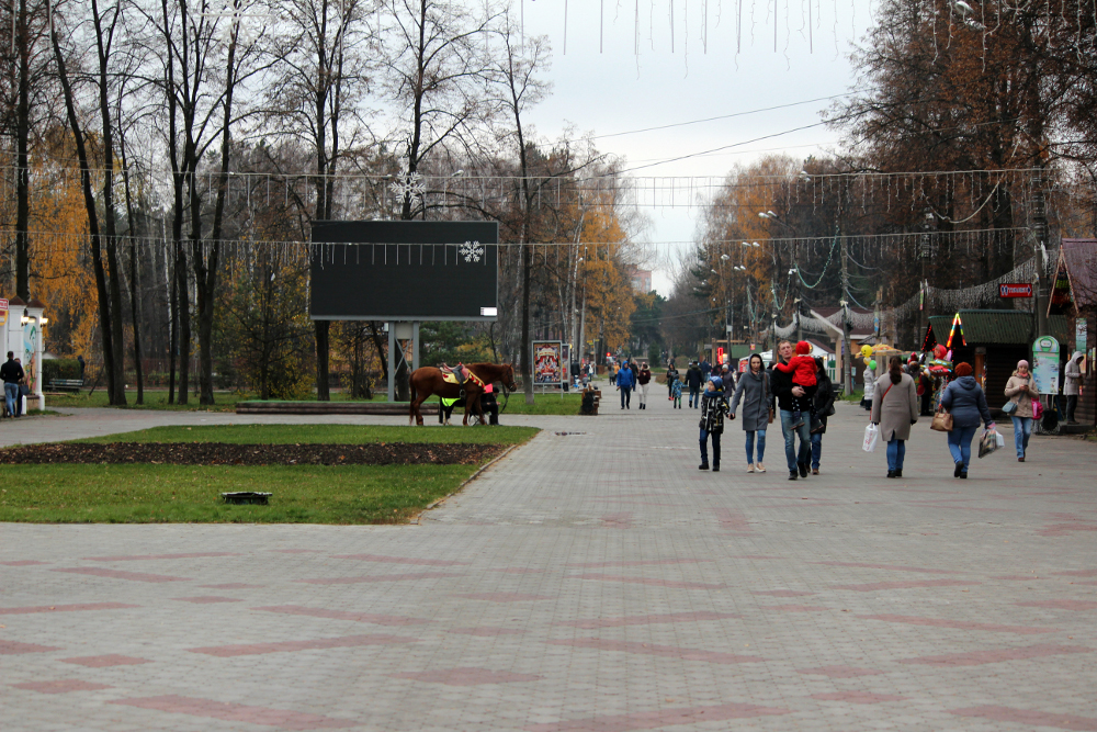 Большинство нижегородцев видят Сормовский парк зоной тихого отдыха - фото 1