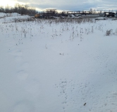 Ход строительства дома 5 в ЖК Аллея Парк -