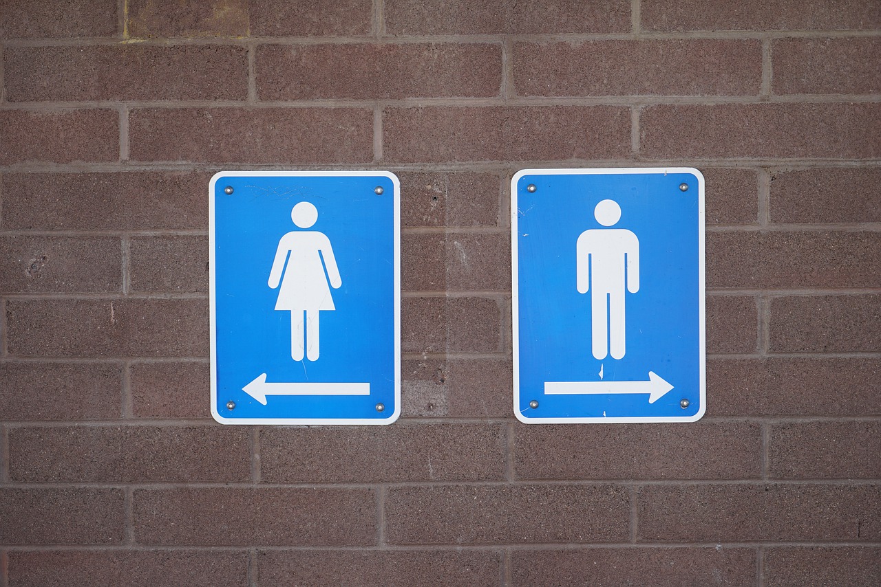 Нижегородцы назвали проблемные общественные туалеты в центре города 