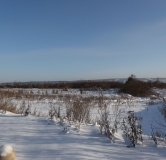 Ход строительства дома 5.5.1 в ЖК Мечтателей -