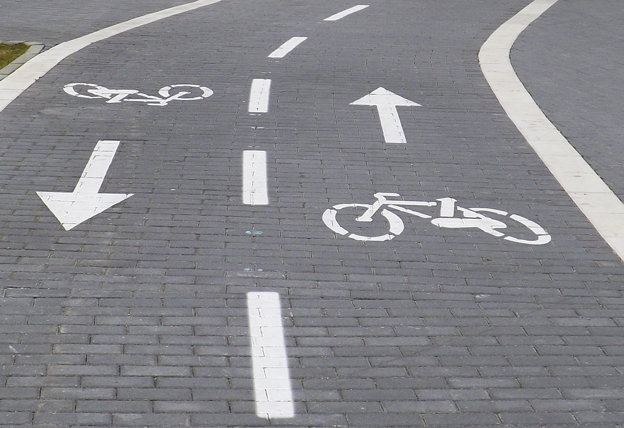 Сеть велодорожек разработают для нескольких самарских улиц 